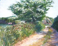 Sue Lewington