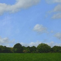 Gareth McCorry