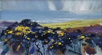 Barrie Bray