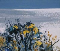 Barrie Bray