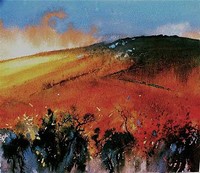 Barrie Bray