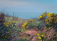 Mark Preston