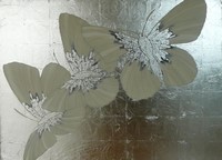 Sara Habgood