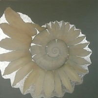 Sara Habgood