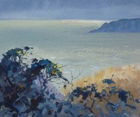 Barrie Bray