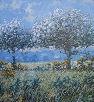 May blossom by Robert Jones
