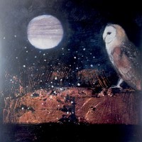 The waiting moon by Catherine Hyde