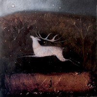 In the spaces between words by Catherine Hyde