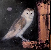 Midnights song by Catherine Hyde