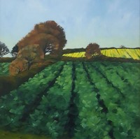 Cornish spring fields by Andrea Stokes