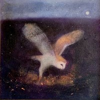 Lightly through the darkness by Catherine Hyde