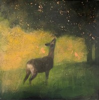 The golden afternoon by Catherine Hyde