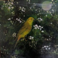 The song of the hawthorn by Catherine Hyde