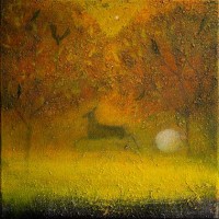 The quiet star by Catherine Hyde