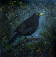 The evening star by Catherine Hyde