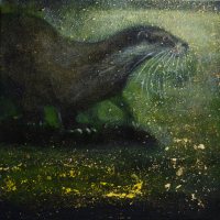 The river pirate by Catherine Hyde