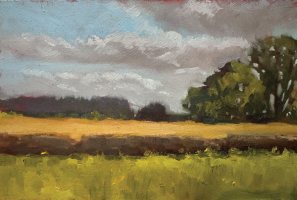 Buttercup field by Kirsten Elswood