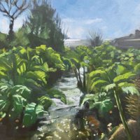 Gunnera at Lamorna by Kirsten Elswood