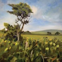 Hawthorn by Kirsten Elswood