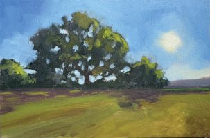 Late afternoon shadows by Kirsten Elswood