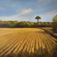 Ploughed field and Umbrella Pine by Kirsten Elswood