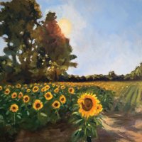 Sun catching Sunflowers by Kirsten Elswood
