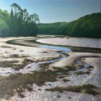 Low tide, Gillan Creek by Oliver White
