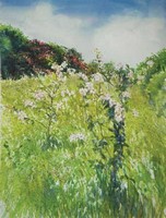 Sue Lewington