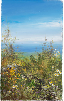 Daisies watch over a summer's day, Zennor by Amanda Hoskin