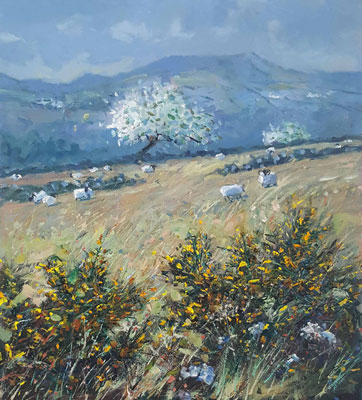 Gorse, sheep and May Blossom by Robert Jones