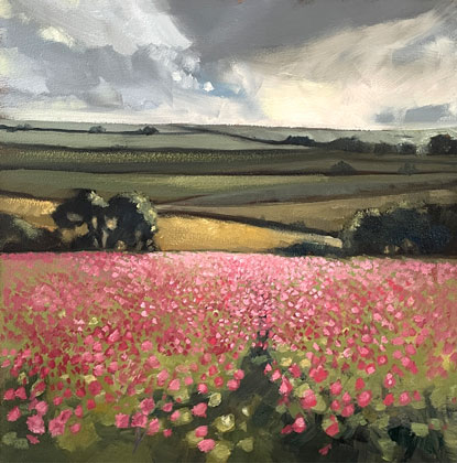 Field Campion by Kirsten Elswood