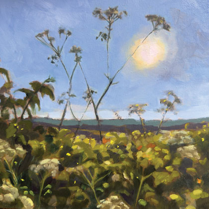 Hedgerow, late sun by Kirsten Elswood