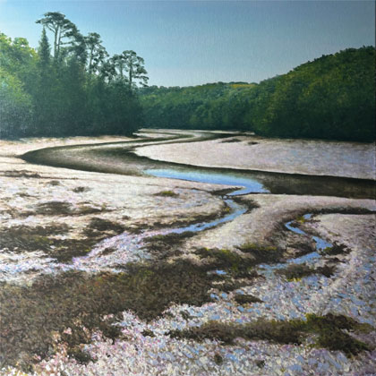 Low tide, Gillan Creek by Oliver White
