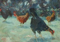 Chickens by Robert Jones