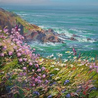 Clifftop flowers, Hor Point by Mark Preston