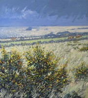 On St Agnes, Isles of Scilly by Robert Jones