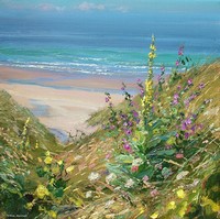 Summer Flowers, Sennen by Mark Preston