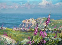 Foxgloves, Bosigran by Mark Preston