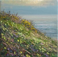 Primroses and violets, Bosigran by Mark Preston