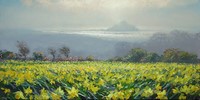 Daffodils, Mounts Bay by Mark Preston
