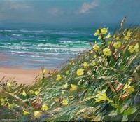 Evening primroses, Sennen by Mark Preston