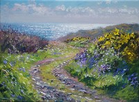 Spring light, Kenidjack by Mark Preston