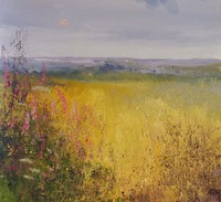 Summer Colours across the fields, near Lelant  by Amanda Hoskin