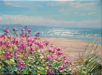 Red valerian, Saunton Sands by Mark Preston