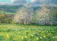 Daffodils and Cherry Blossom by Mark Preston
