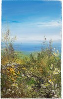 Daisies watch over a summer's day, Zennor by Amanda Hoskin