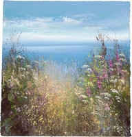 Wild flowers on the North Coast by Amanda Hoskin