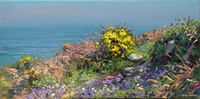 Bluebells and gorse, Chypraze Cliff by Mark Preston