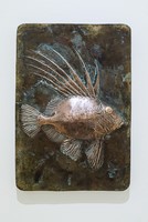 John Dory by Shelley Anderson