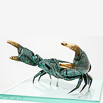 Defiant crab by Shelley Anderson